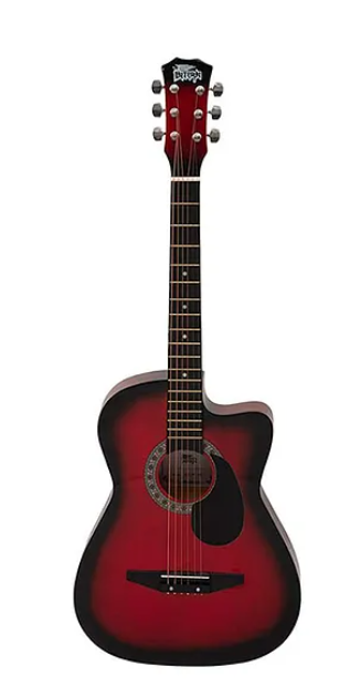 Intern INT-38C Acoustic Guitar Kit