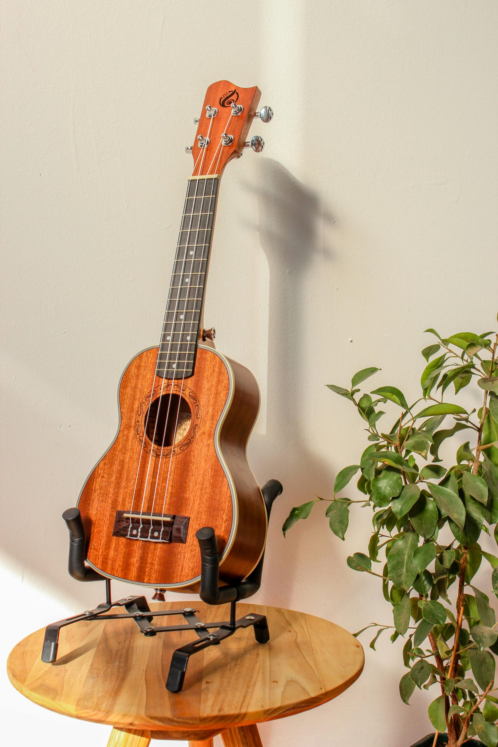 A ukulele resting on a wooden stool with a plant, casting a shadow on the wall.